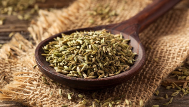 12 Reasons why fennel seeds are beneficial to your Health