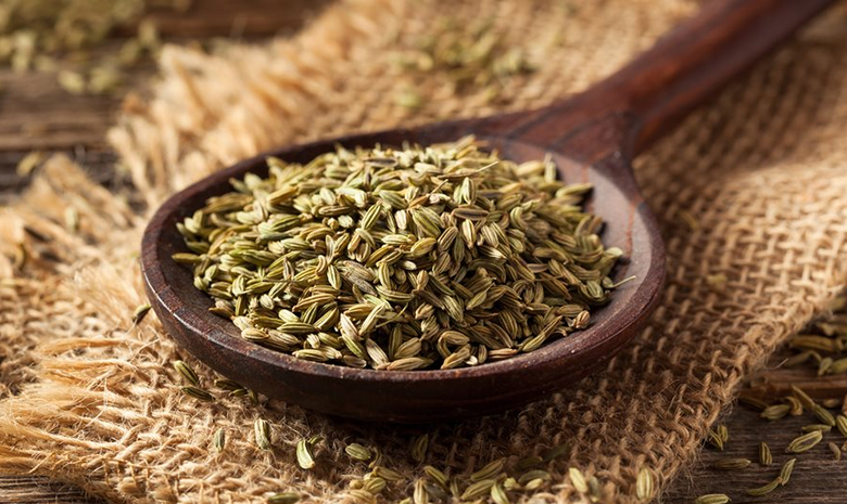 12 Reasons why fennel seeds are beneficial to your Health