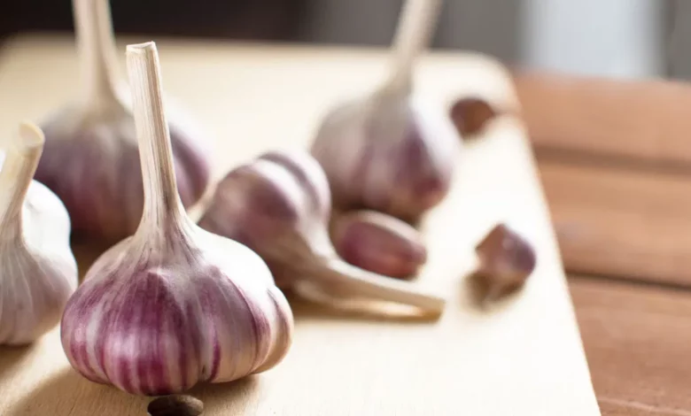 Garlic Has Several Health Benefits for Men