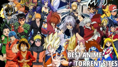 torrent website to download Anime