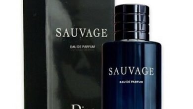 Sauvage Dior dossier. co